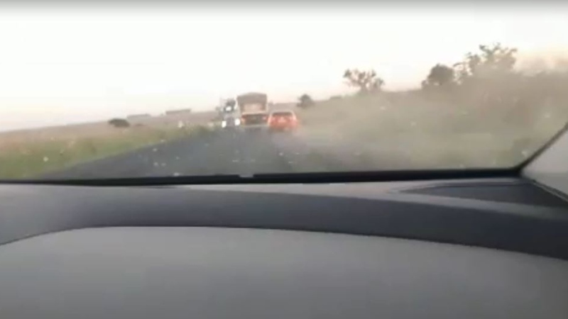 Motorista capota carro roubado durante fuga na BR-364, em Goiás; veja vídeo da perseguição