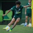 luan-goias