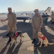 Cabo Vinícius Veloso Portela, e cão Fênix e sargento Diego Wanderley Vieira, com cadela Mera