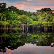 Amazônia 