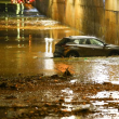 Carro na marginal alagada