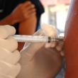 Vacinação febre amarela 